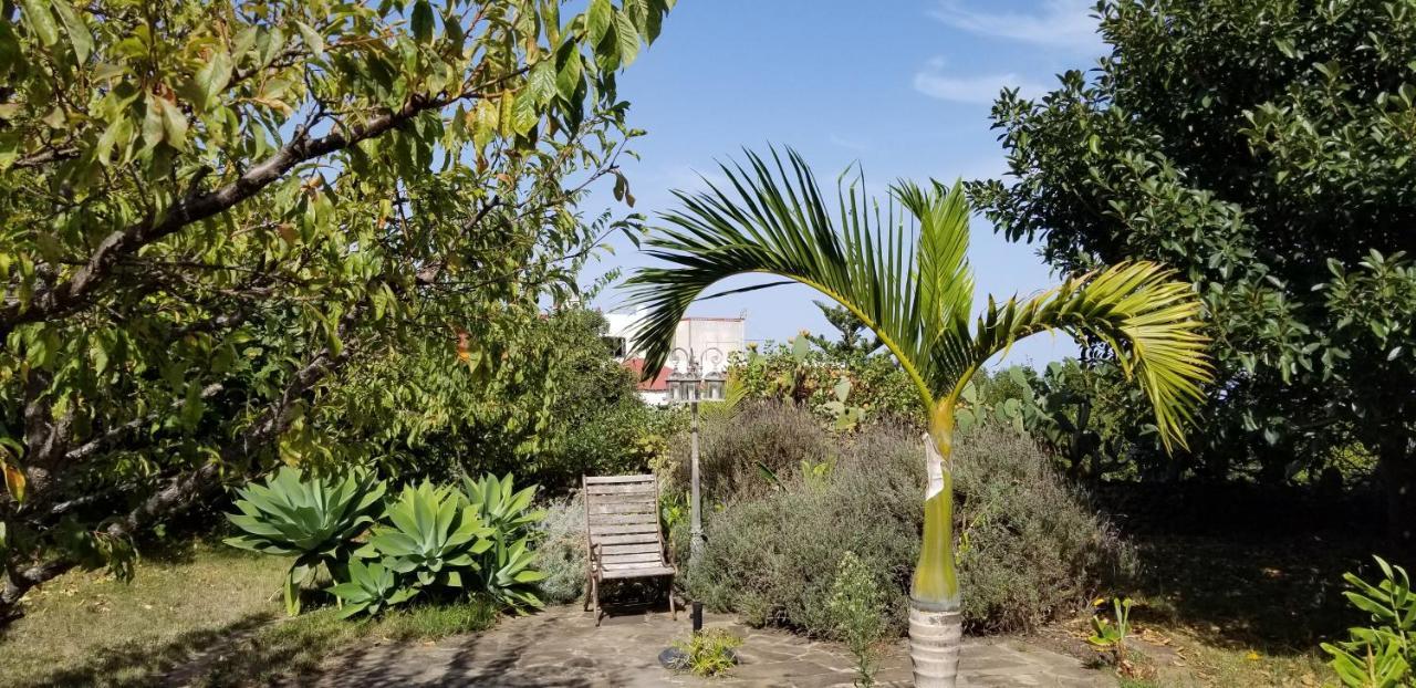 شقة La Casita De La Vega إيكود ذي لوس فينوس المظهر الخارجي الصورة