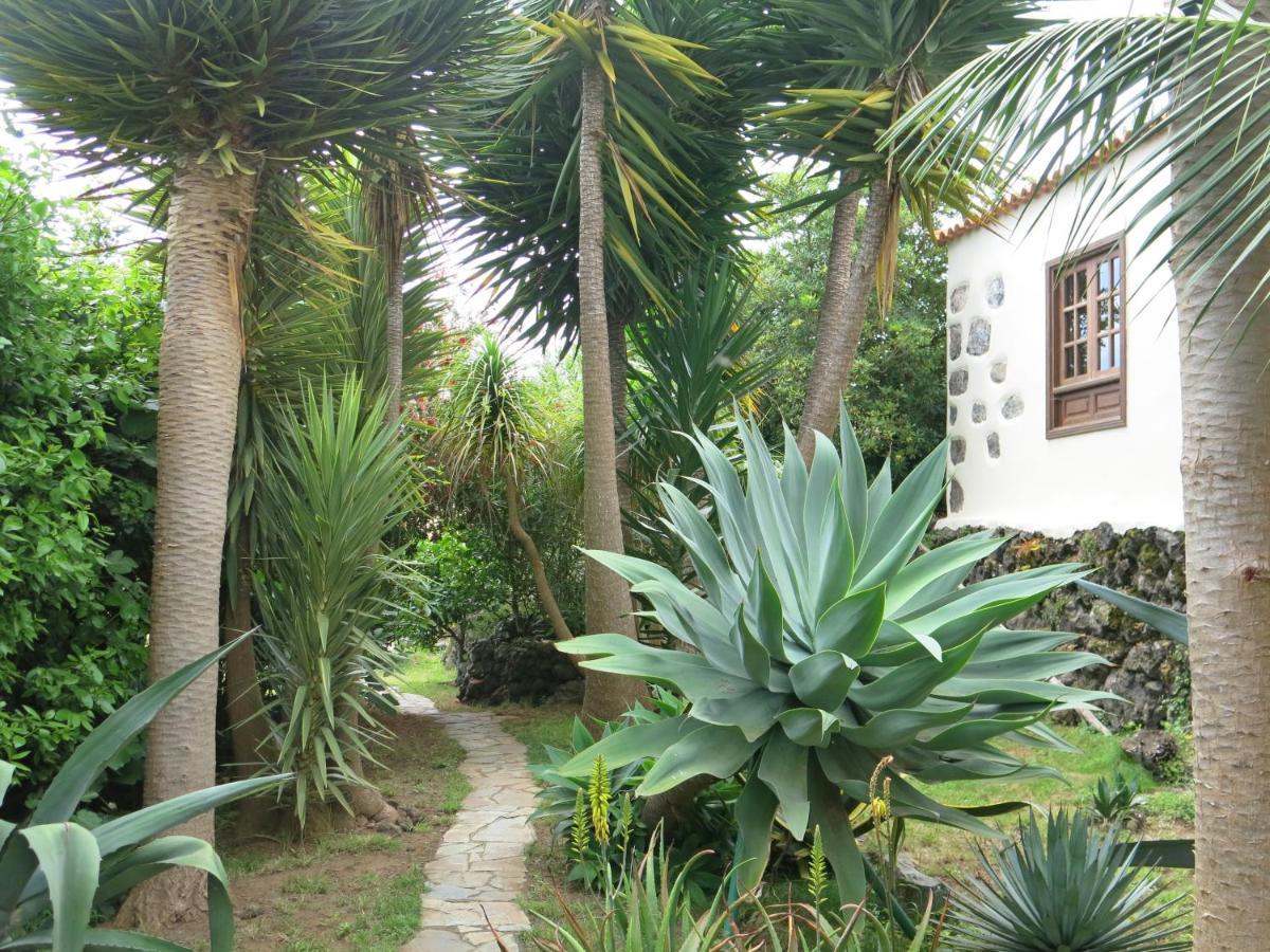 شقة La Casita De La Vega إيكود ذي لوس فينوس المظهر الخارجي الصورة