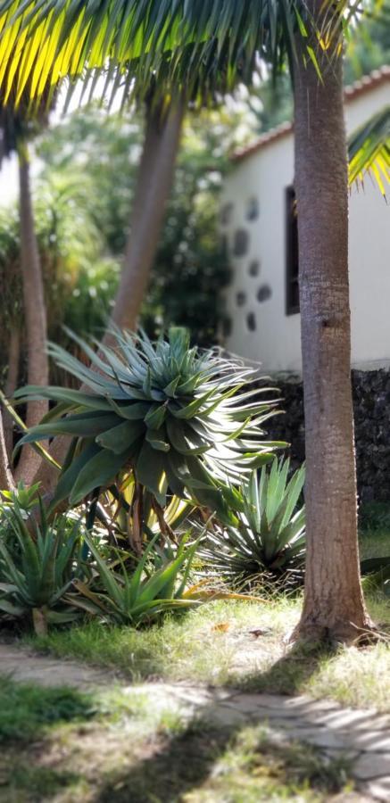 شقة La Casita De La Vega إيكود ذي لوس فينوس المظهر الخارجي الصورة