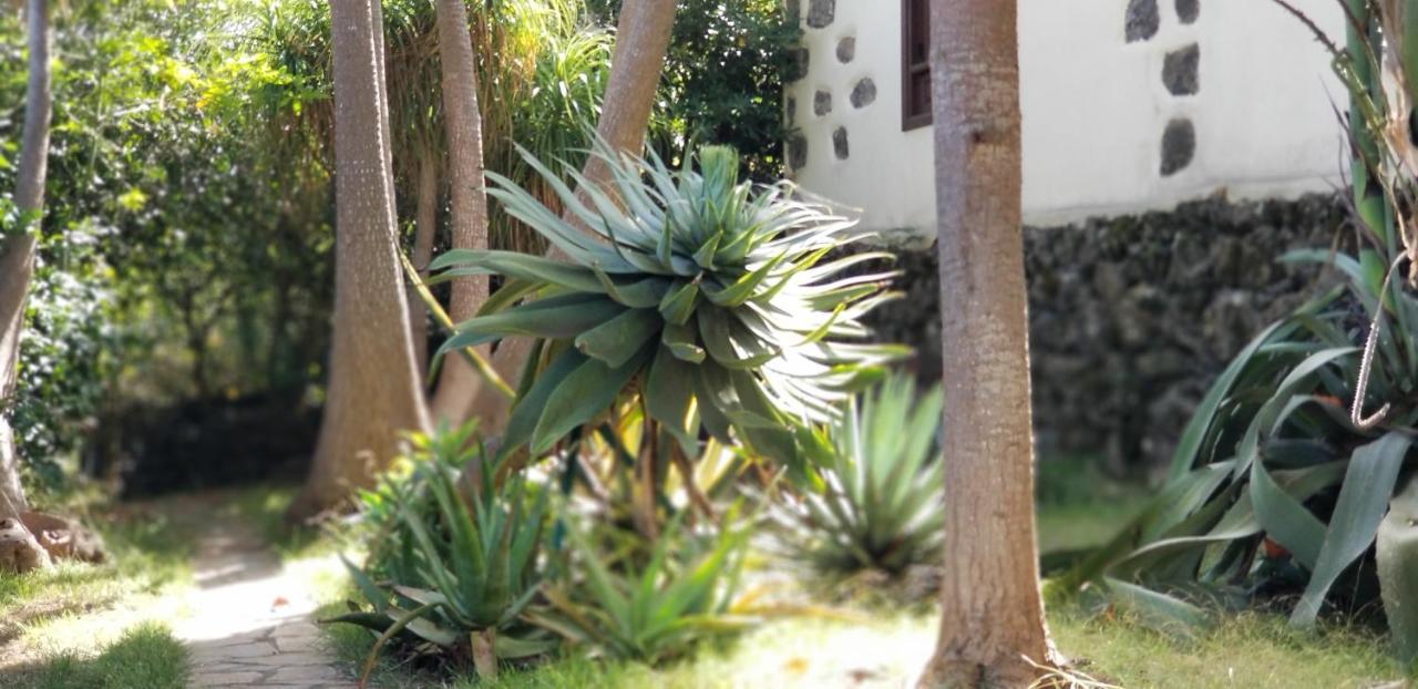 شقة La Casita De La Vega إيكود ذي لوس فينوس المظهر الخارجي الصورة