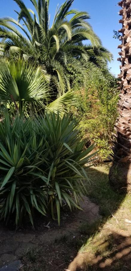 شقة La Casita De La Vega إيكود ذي لوس فينوس المظهر الخارجي الصورة