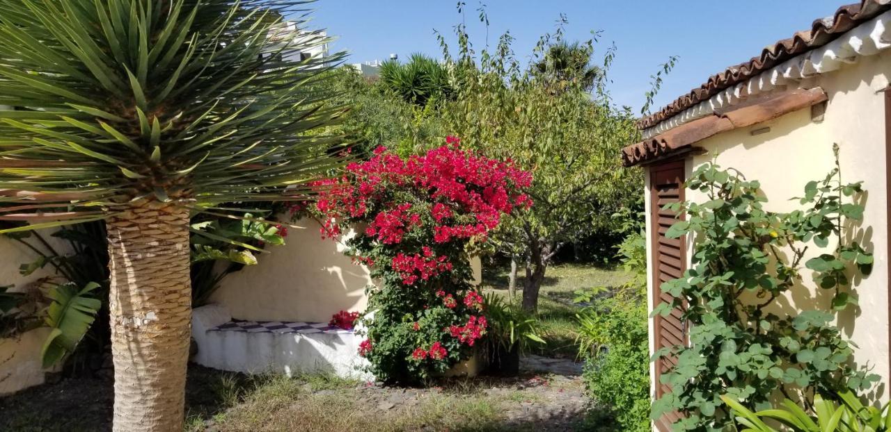 شقة La Casita De La Vega إيكود ذي لوس فينوس المظهر الخارجي الصورة